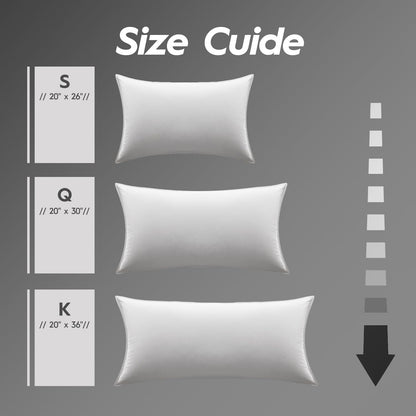2-Pack Premium Down Bed Pillows, Queen Size