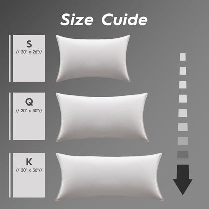 2-Pack Down & Feather Bed Pillows, Standard Size