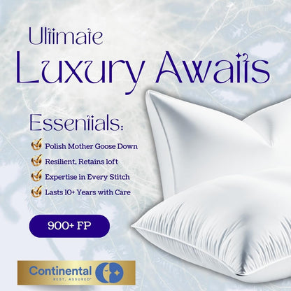 Premium Polish Goose Down Pillow, King Size