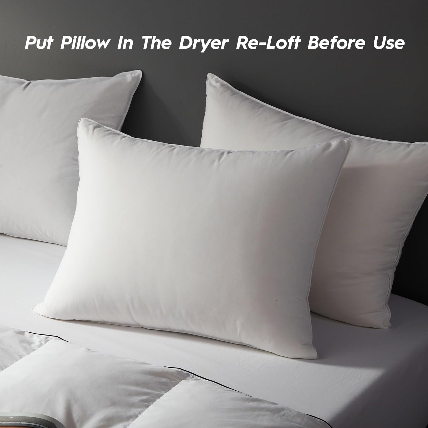 Premium Down & Feather Bed Pillow, Queen Size