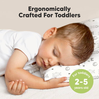 Organic Cotton Toddler Pillow with Pillowcase