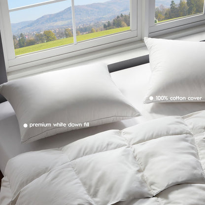 2-Pack Premium Down Bed Pillows, Queen Size
