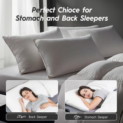 2-Pack Premium Down Bed Pillows, Queen Size