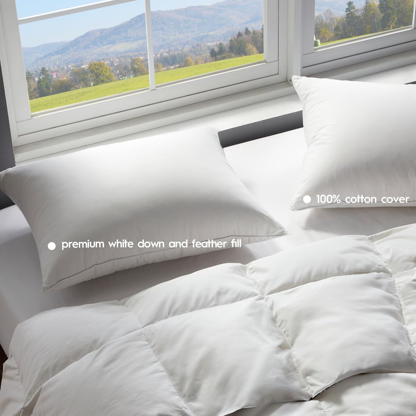 Premium Down & Feather Bed Pillow, Queen Size