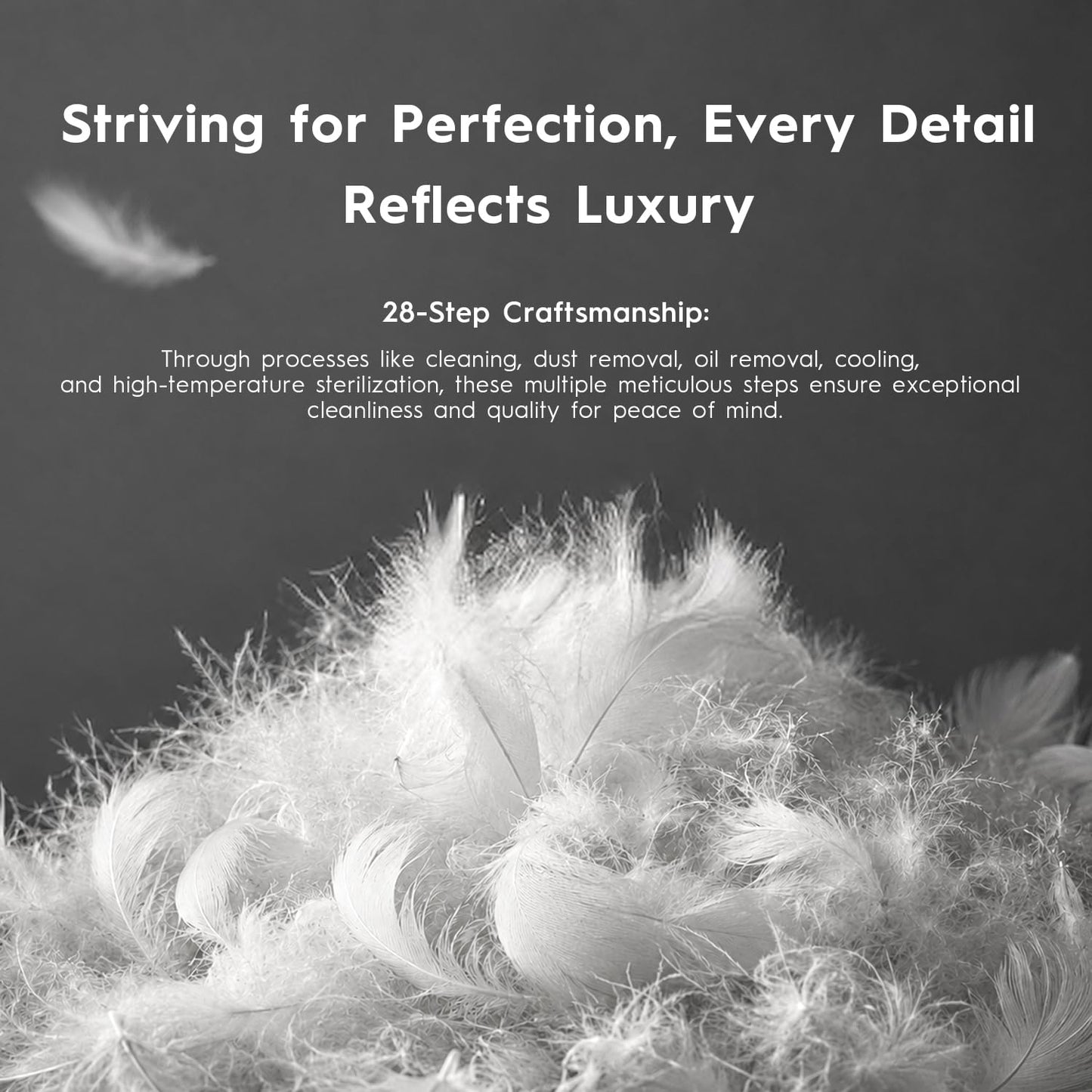 2-Pack Down & Feather Bed Pillows, Standard Size