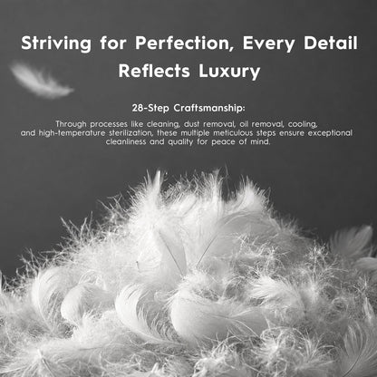 2-Pack Down & Feather Bed Pillows, Standard Size