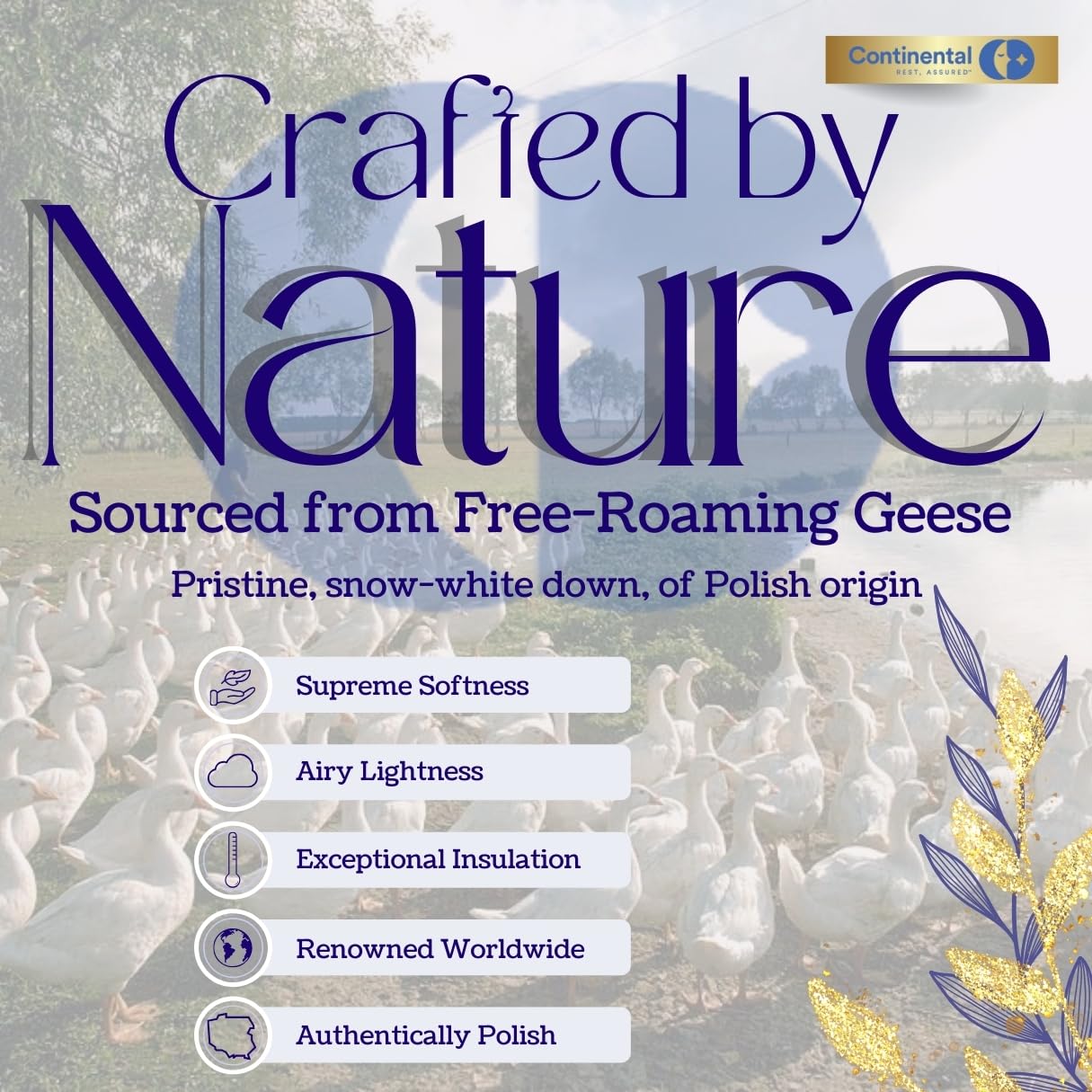 Premium Polish Goose Down Pillow, King Size