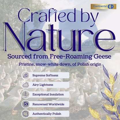 Premium Polish Goose Down Pillow, King Size