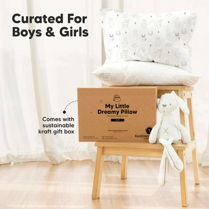 Organic Cotton Toddler Pillow with Pillowcase