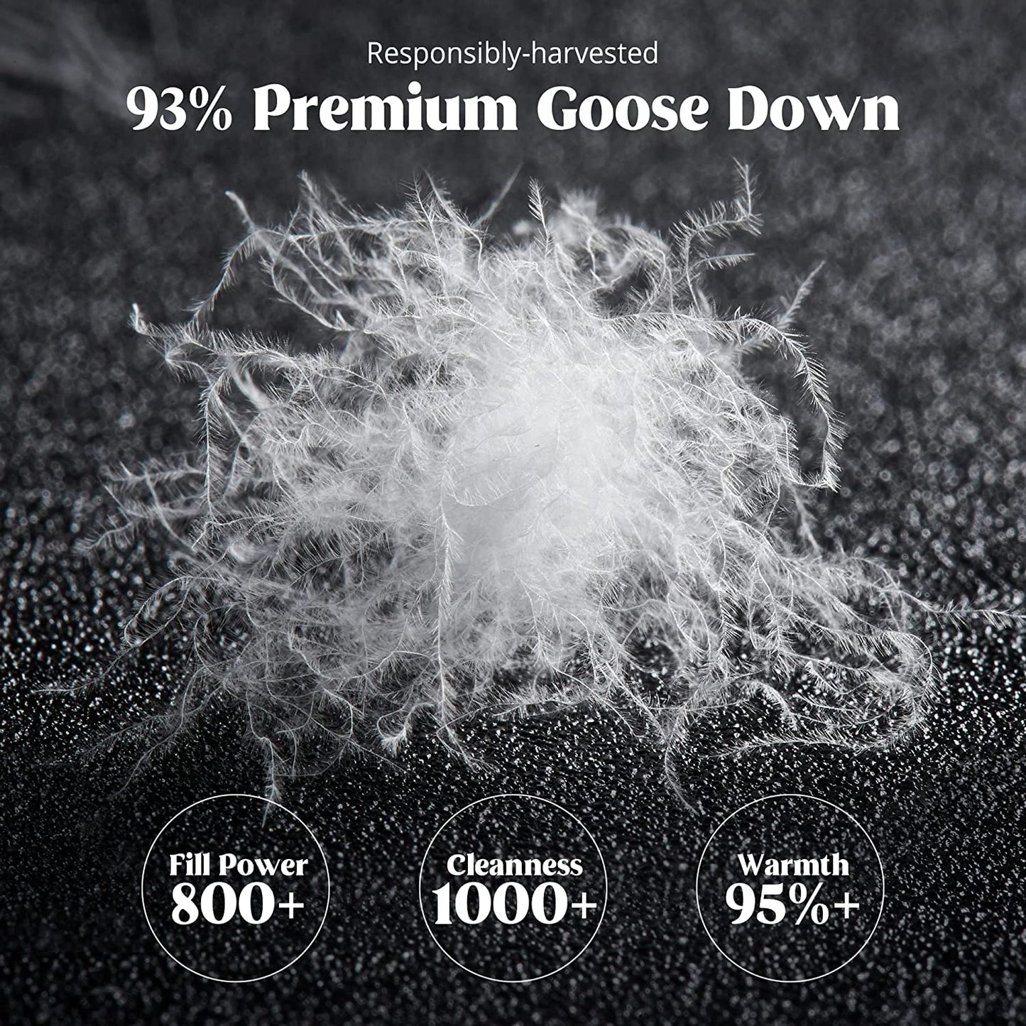 King Goose Down Comforter – 800 Fill Power Cotton Duvet Insert