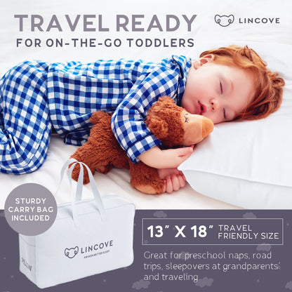 Premium Down Toddler Pillow for Sleeping & Travel