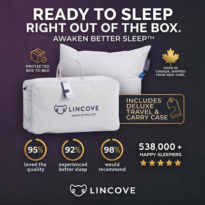 2-Pack Canadian Down Sleeping Pillows, King Size