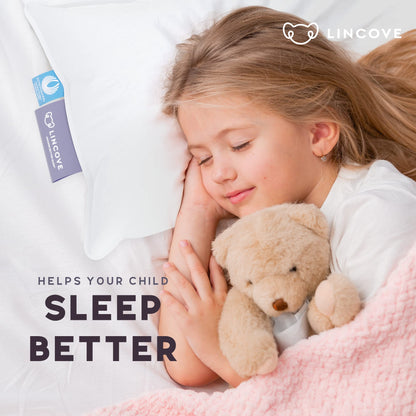 Premium Down Toddler Pillow for Sleeping & Travel